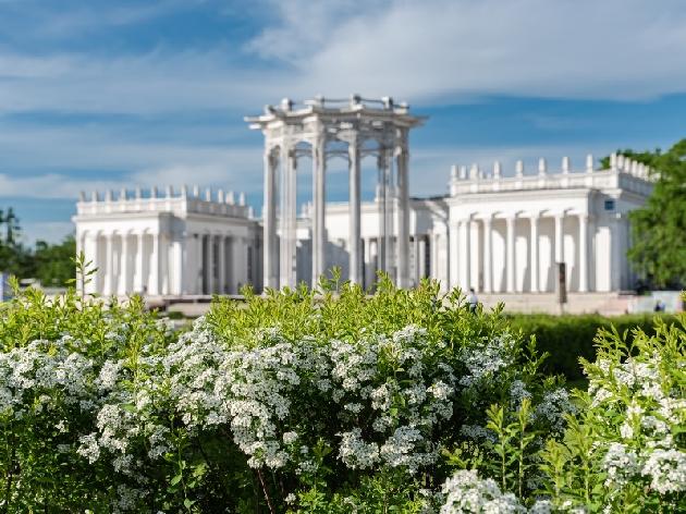 �������� � ������ �� 14500 ���. ���. 2026