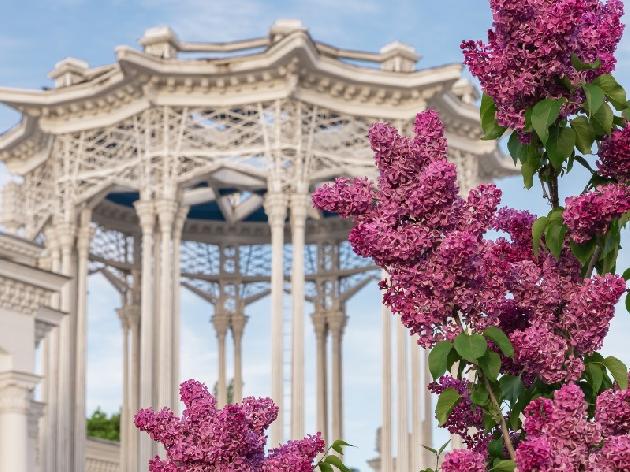 ��� ��� � �������� ������� �� 17300 ���. ���. 2026