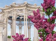 ��� ��� � �������� ������� �� 17300 ���. ���. 2026