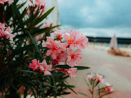 ���� ������� ����� � ����: ���� ���� �� 29650 ���.��� 2026 