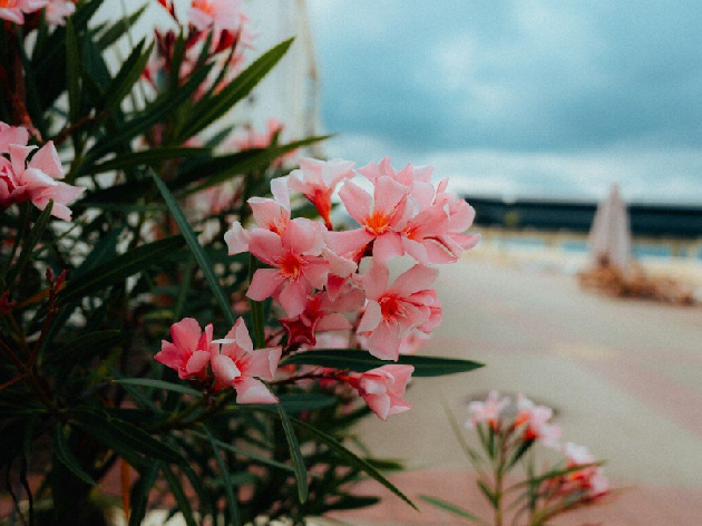 ���� ������� ����� � ����: ���� ���� �� 29650 ���.��� 2026 