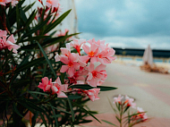 ���� ������������� �� �� ���������� ���  2026